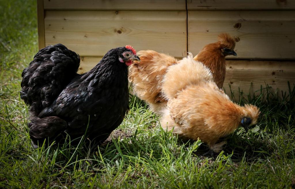 De Wijnlodge Kootwijkerbroek Dış mekan fotoğraf
